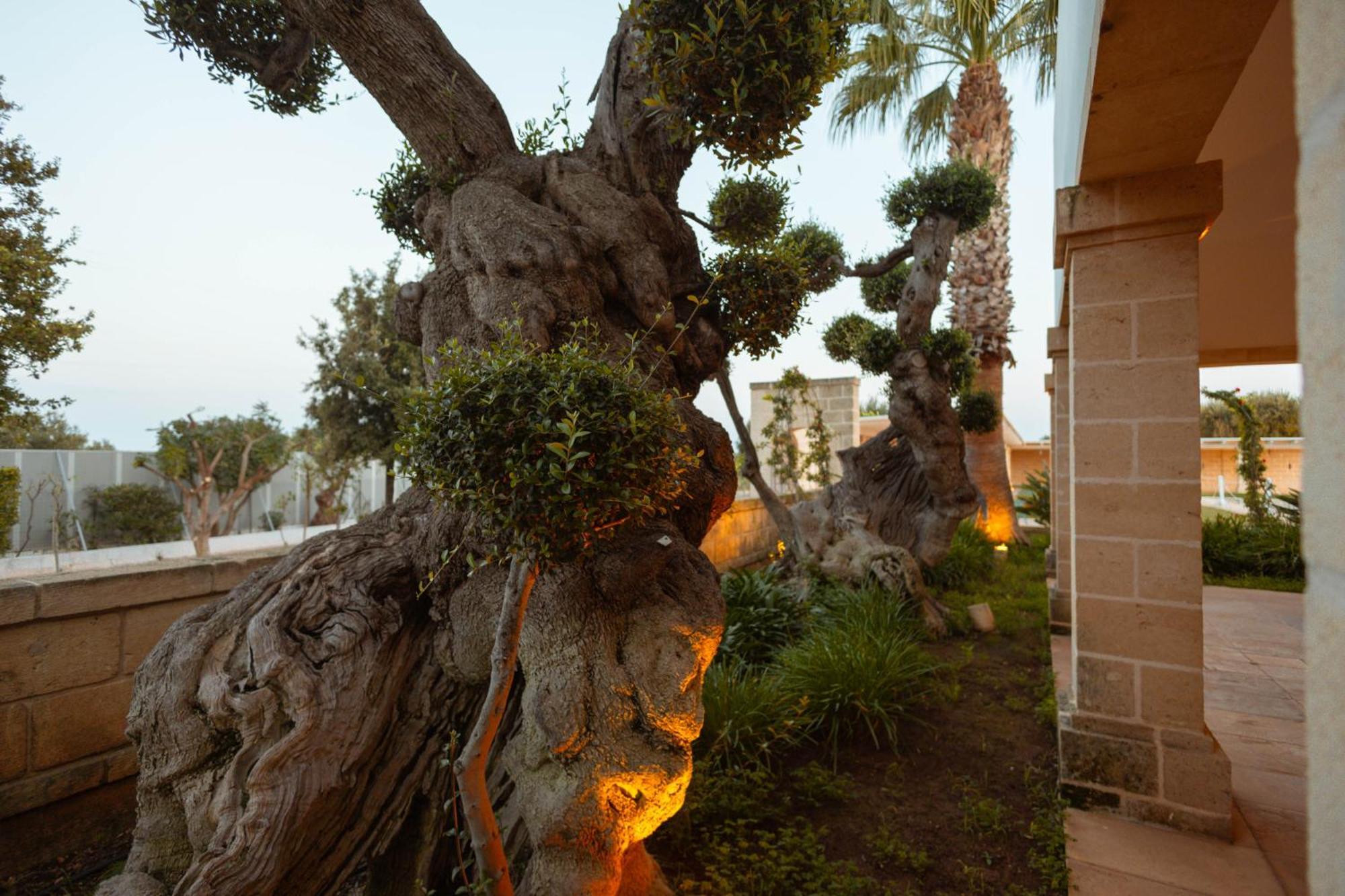Vila Don Onofrio Monopoli Exteriér fotografie